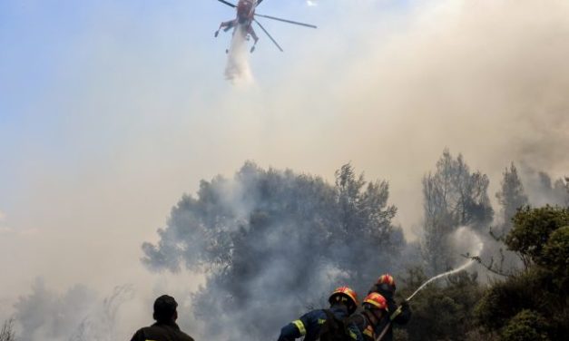 Σε ύφεση η φωτιά στην Ηλεία – Σχεδόν 33.000 στρέμματα κάηκαν στις Κεχριές