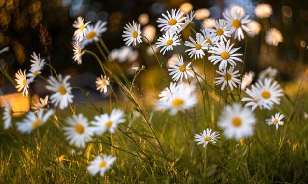 Απώλεια.. η υπέρβαση του ίδιου σου του εαυτού