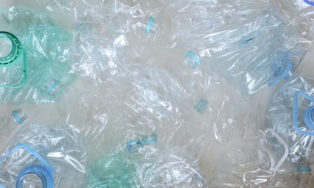 Κατάργηση πλαστικών: ένα βήμα εγγύτερα στην προστασία του περιβάλλοντος;