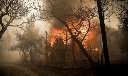 Εθνικό Αστεροσκοπείο Αθηνών: πόσα στρέμματα δάσους κάηκαν στα Γεράνεια Όρη