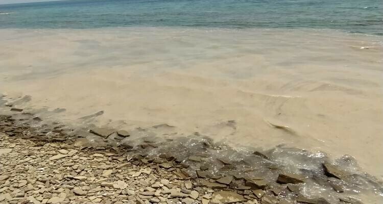 Θαλάσσια βλέννα στη Λήμνο: Τι κατέγραψαν στην αυτοψία οι Επιθεωρητές Περιβάλλοντος