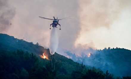 Φωτιά στη Σάμο: Ολονύχτια μάχη με τις φλόγες – εικόνες