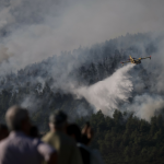 Καίγεται παρθένο δάσος στα Βίλια: Μεγάλη οικολογική καταστροφή