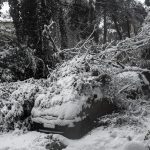 Δ. Αθηναίων: Αποζημιώσεις σε ιδιοκτήτες οχημάτων που υπέστησαν ζημιές από πτώσεις δέντρων
